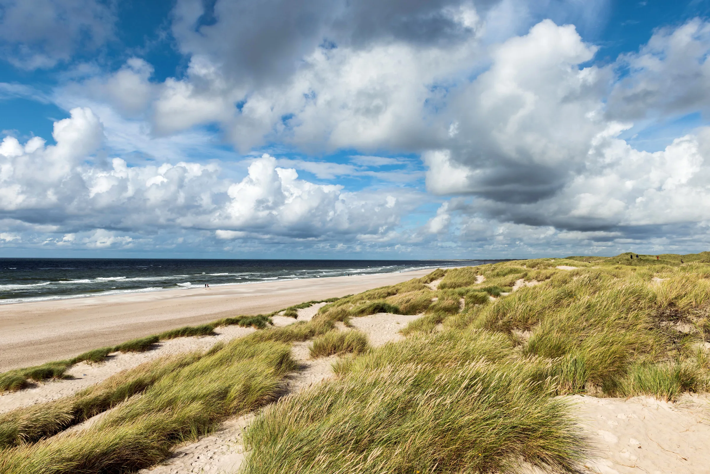 Areia e vento